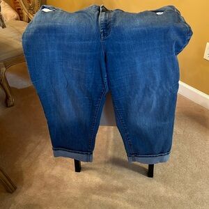 Women’s Style & Co Capri Jeans, Size 18W